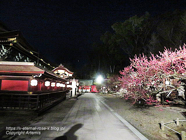23.3.3. 北野天満宮 (133)