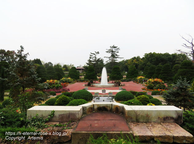 19.11.241 京都府立植物園 (162)