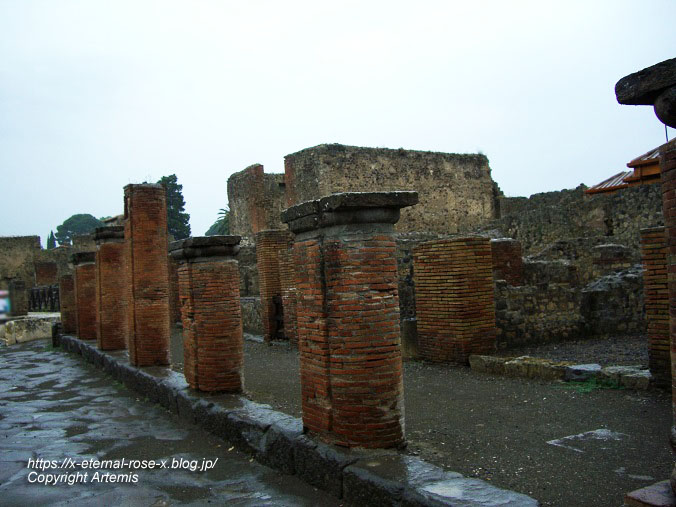 11.6.1.6 ポンペイ遺跡 (42)