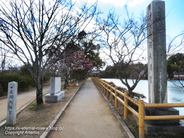 23.3.2 八条が池 (42)
