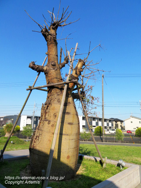 22.5.3.8 ドンレミー岡山店  (24)