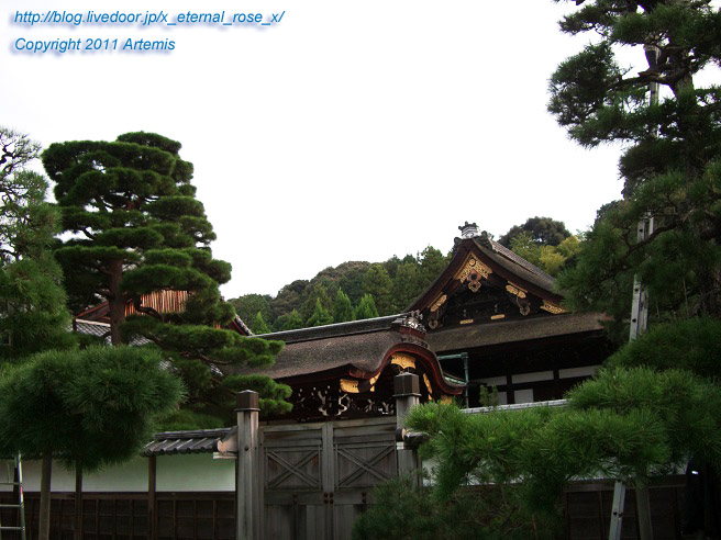 10.10.21.3 泉涌寺 (15)