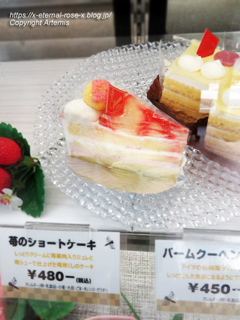 23.3.2.1 甘味とんぼ  (25)