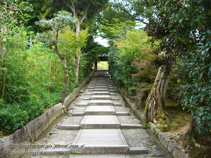 10.10.20.9 高台寺  (4)