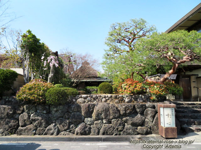 22.4.7 sonoka そばの実スイーツ  (7)