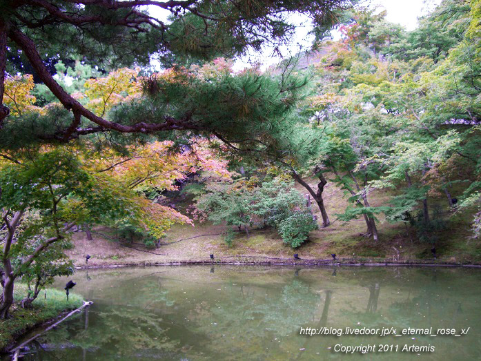 10.10.20.9 高台寺 (21)