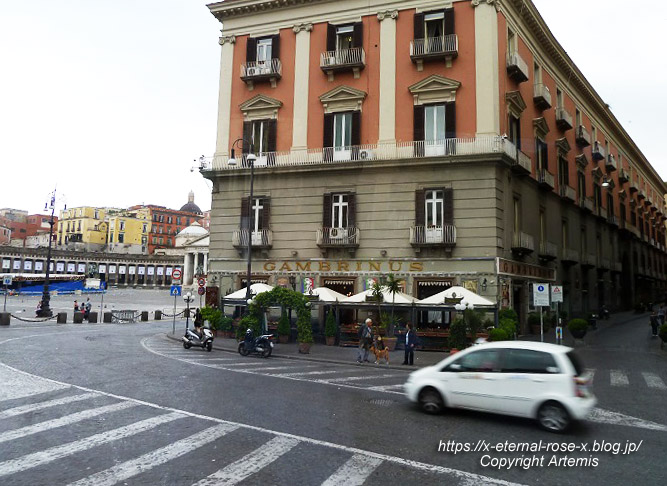 11.6.1.1. ガッレリアウンベルト一世  (2)