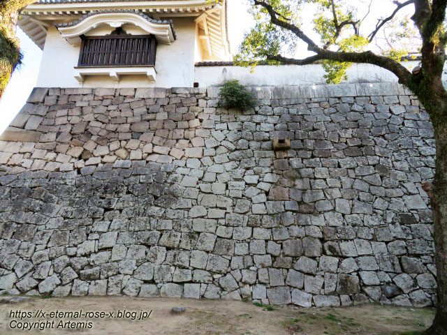 23.1.1.1 岡山城  (14)