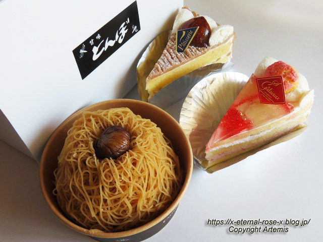 23.3.2.1 甘味とんぼ  (33)