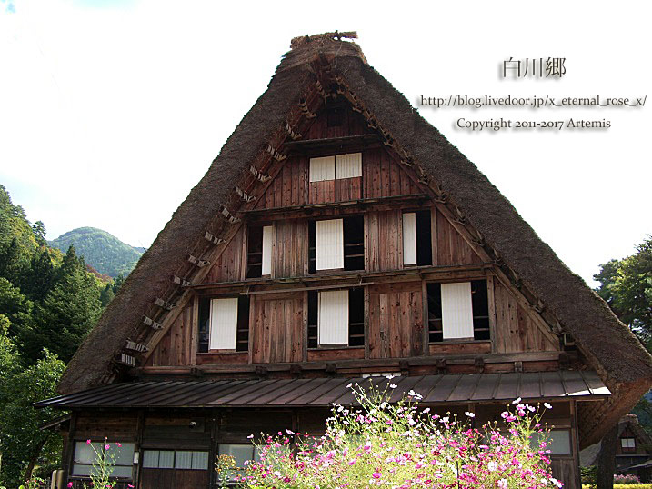 5 白川郷 (16)