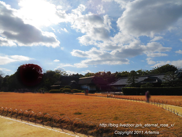 20.1.1.2 後楽園 (35)