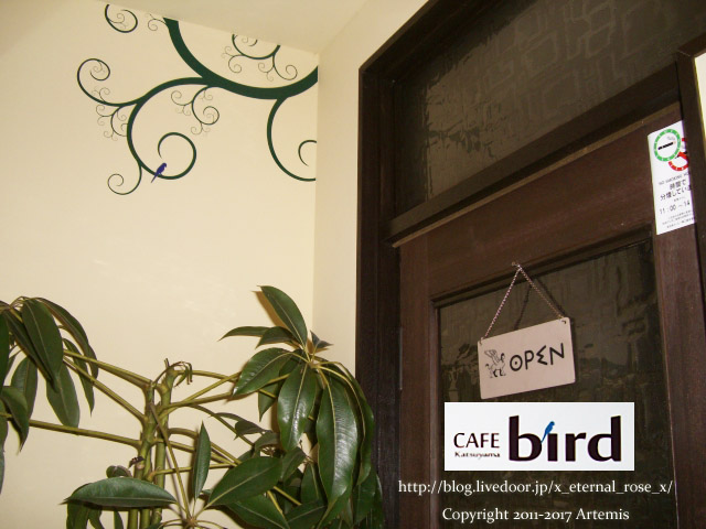 11 カフェバード  (9)