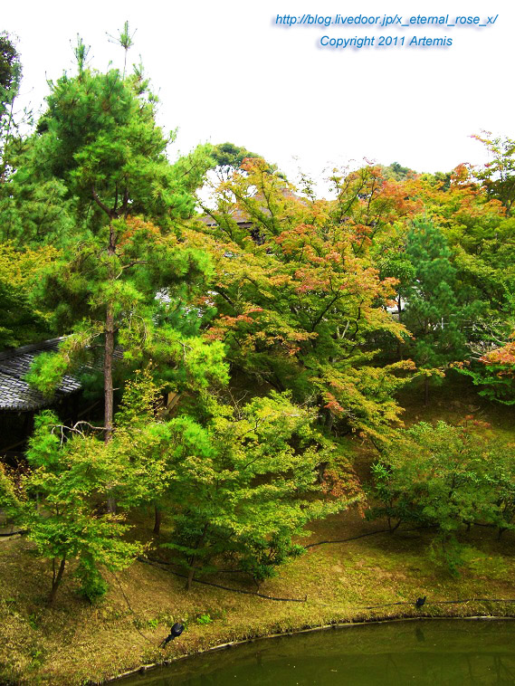 10.10.20.9 高台寺  (27)