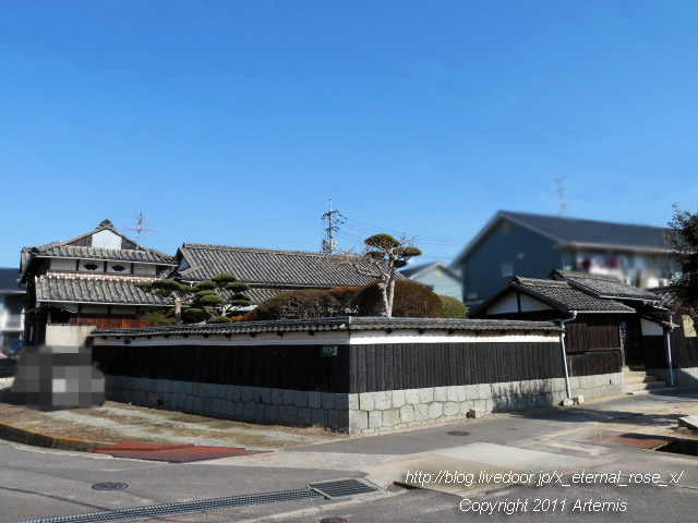 20.2.24.1 nobu  (1)