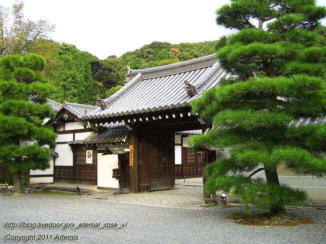 10.10.21.3 泉涌寺  (12)