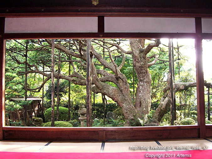 10.10.18.5 宝泉院  (20)