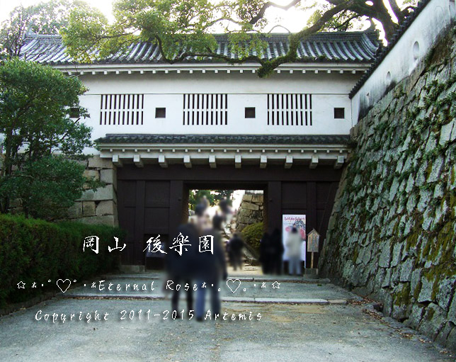 3 岡山城 (9)