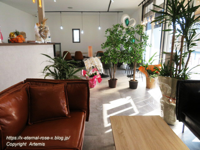 22.1.5 カフェッタ  (4)