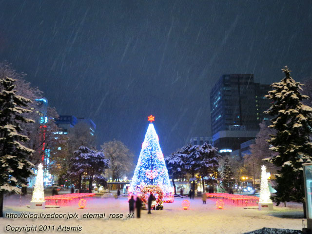 18.11.22.23 札幌大通公園 (2)