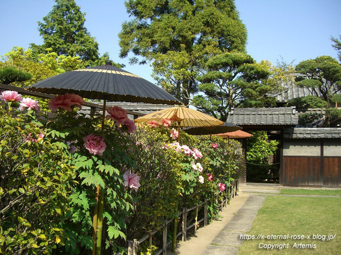 11.5.5.3 旧野﨑家住宅 野﨑家塩業歴史館  (54)