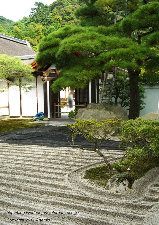 10.10.19.1 銀閣寺 (6)