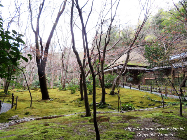 20.3.19.9 祇王寺  (25)