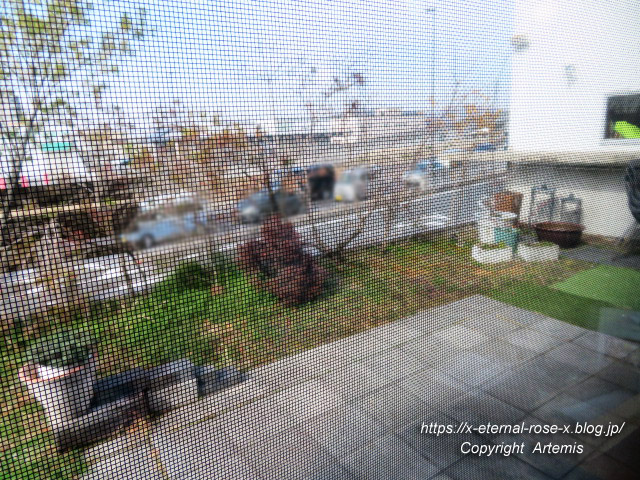 21.2.13.1 アリアドネ (30)