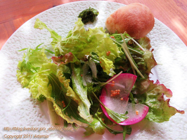 20.2.28 クロワズモン  (18)