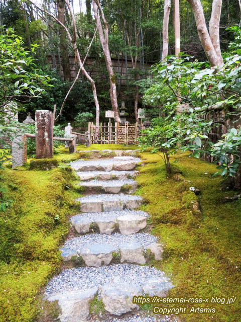 20.3.19.9 祇王寺  (43)