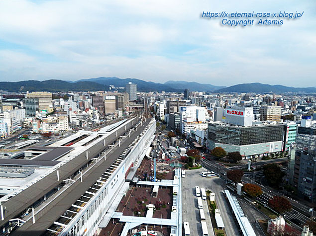 21.11.14 ホテルグランヴィア岡山 備彩  (8)