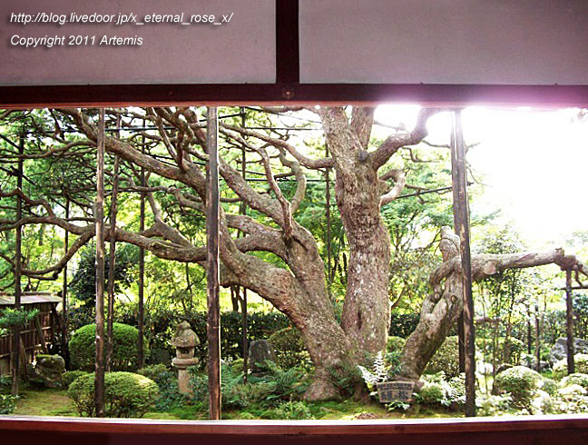 10.10.18.5 宝泉院  (9)