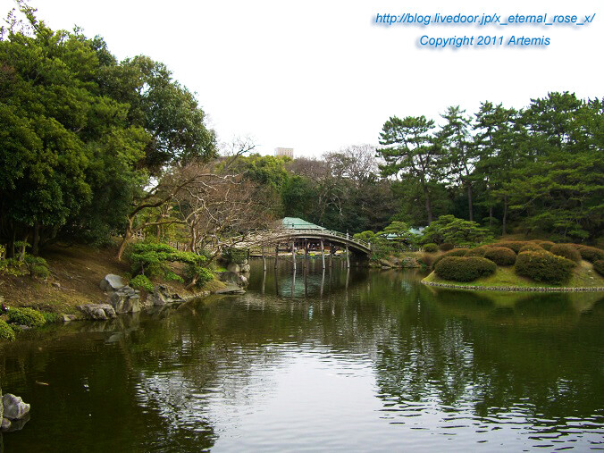 11.2.20 栗林公園 (47)