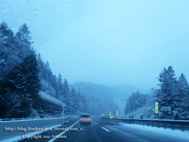 18.11.21.9 青い池  (1)