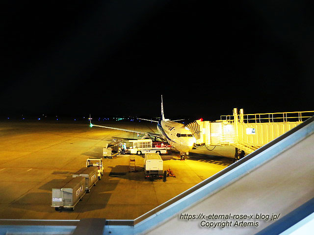 18.11.24.16 新千歳空港 (27)