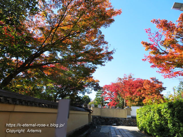19.11.23.1妙心寺  (8)