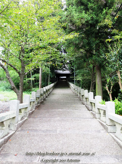 18.9.23.1 窪八幡宮  (7)