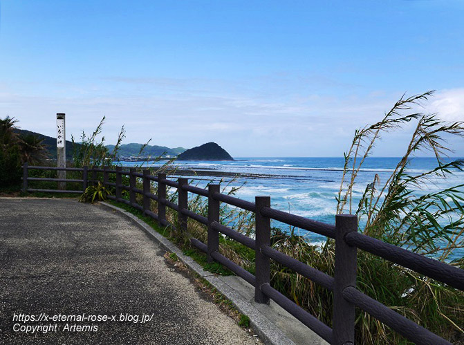 20.11.1.5 いるか岬  (25)