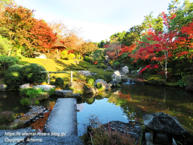 19.11.23.7 妙心寺 退蔵院  (68)