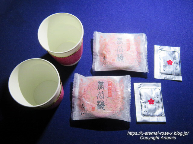 23.3.3.1 老松 北野天満宮 梅苑茶店  (3)