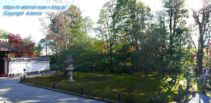 19.11.23.7 妙心寺 退蔵院  (120)