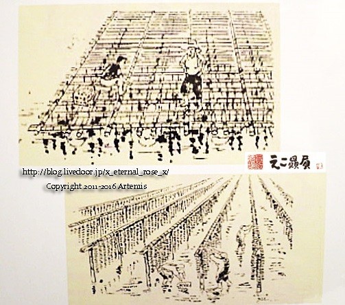 9 依怙贔屓 (37)
