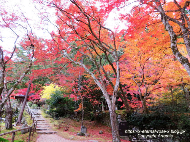 19.11.27 高雄 神護寺 (152)