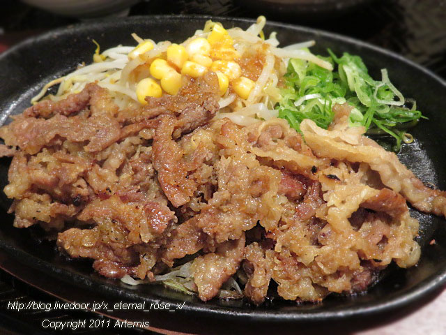 19.4.25韓丼 (41)