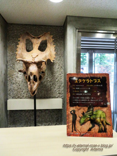 19.8.18.1 恐竜動物園 (135)