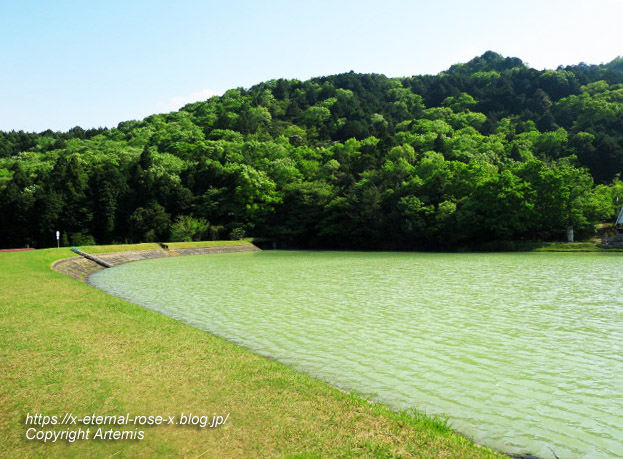 17.5.1.9 太陽公園  石のエリア (92)