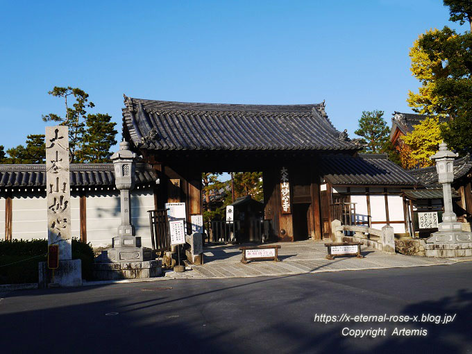 19.11.23.7 妙心寺 退蔵院  (131)