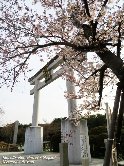 22.3.30.6 長岡天満宮  (27)