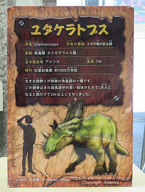 19.8.18.1 恐竜動物園 (136)