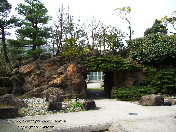 10.4.18.2 氷見市海浜植物園 (2)