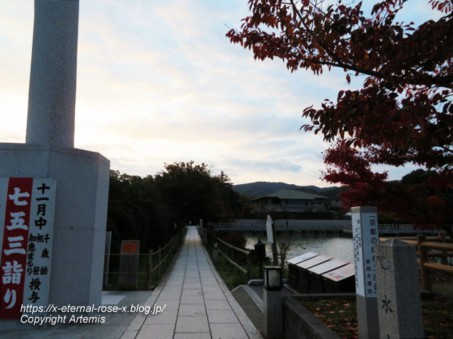 19.11.26.4 長岡天神 (88)